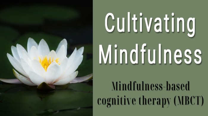 Meditation meditate feed Meditation meditate feed