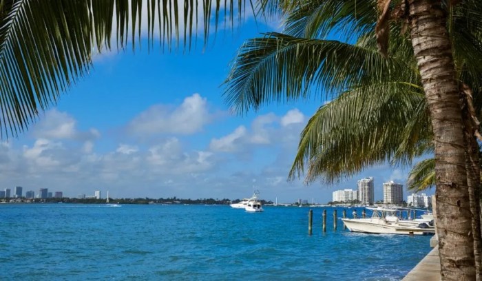 Emotional intelligence meditation mindfulness health improve practice wellness How to Meditate for Strengthening Your Focus and Emotional Intelligence