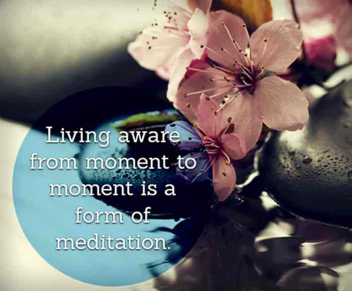 Meditation quotations aware How to Meditate for Reaching a Calm and Focused State of Mind