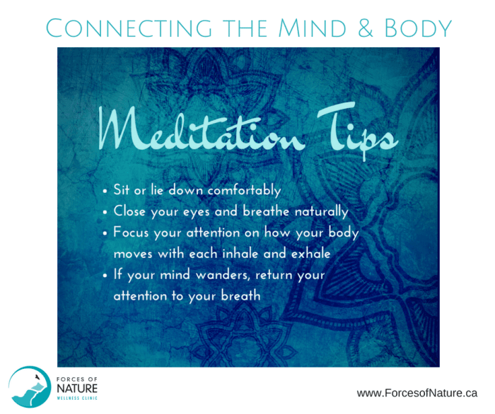 Meditation How to Meditate for Strengthening Your Mind-Body Connection