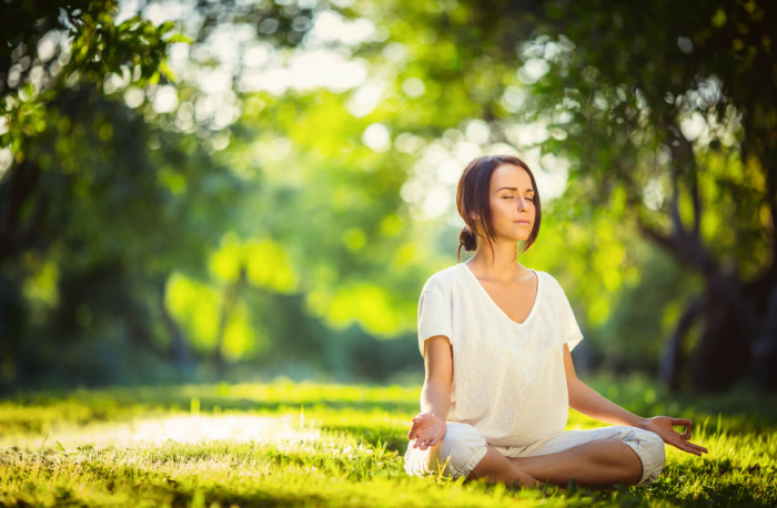 Mindfulness meditation reduces anxiety disease risks cardiovascular How to Meditate for Achieving Mental and Emotional Freedom